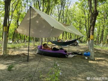 混凝土攪拌機450型品牌_混凝土攪拌機450型品牌有哪些